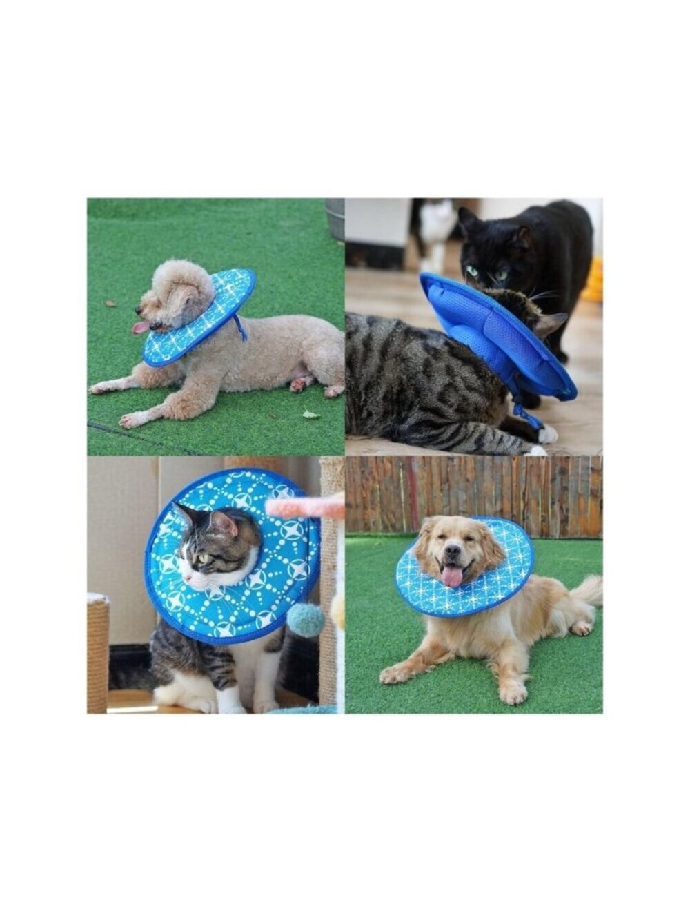 Small Dog or Cat Soft Cone Collar